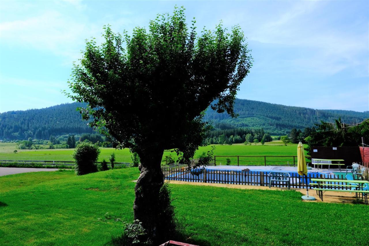 B Und B Titisee Hotel Sonnenmatte Nahe Badeparadies Luaran gambar